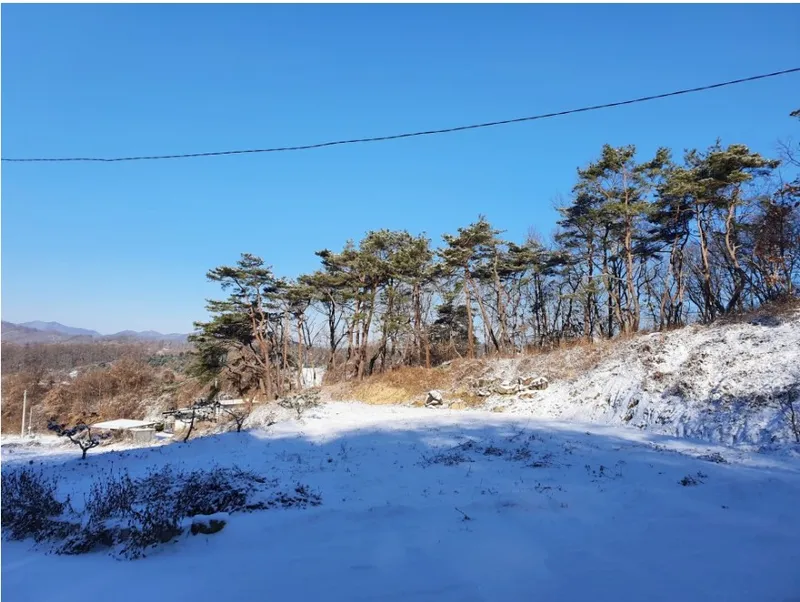 [Goesan] Healing Dokchae A with a private garden #Good value for money #Forest area 12