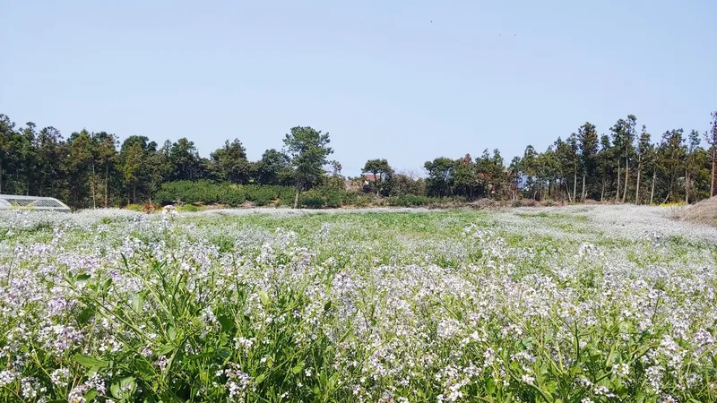 [서귀포 표선] 내 마음의 보금자리#자연과 동화되어 살아보기#독채 45