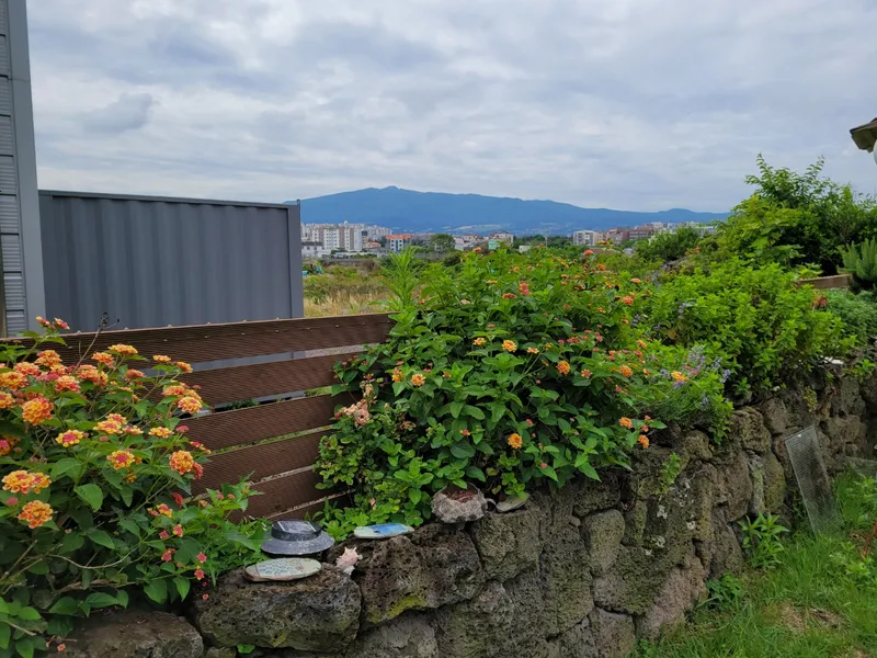 [Iho 1-dong, Jeju] One-room Hallasan view stay 102 near Jeju Airport #cost-effective 19