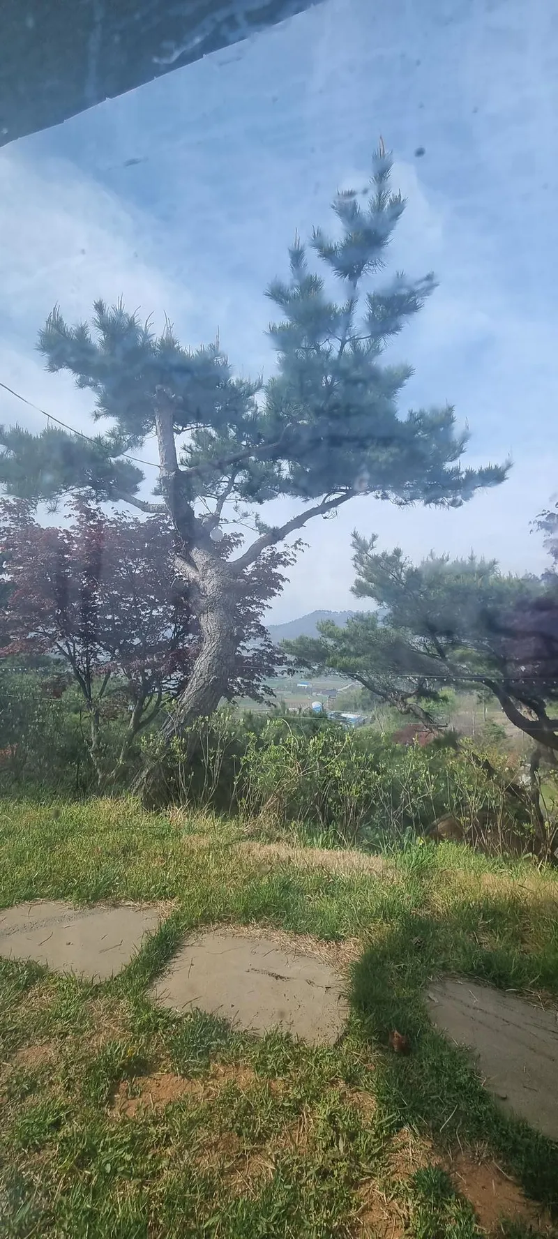 [충남 서산] 반려견과 시골라이프를 즐길 수 있는 황토독채 (원룸) #대형견가능 43