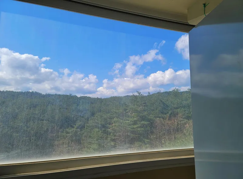 [Yangyang] "Purda Yangyang" with its pine forest and ocean views 12