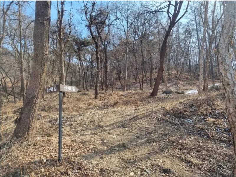 [Goesan] Healing Dokchae A with a private garden #Good value for money #Forest area 11