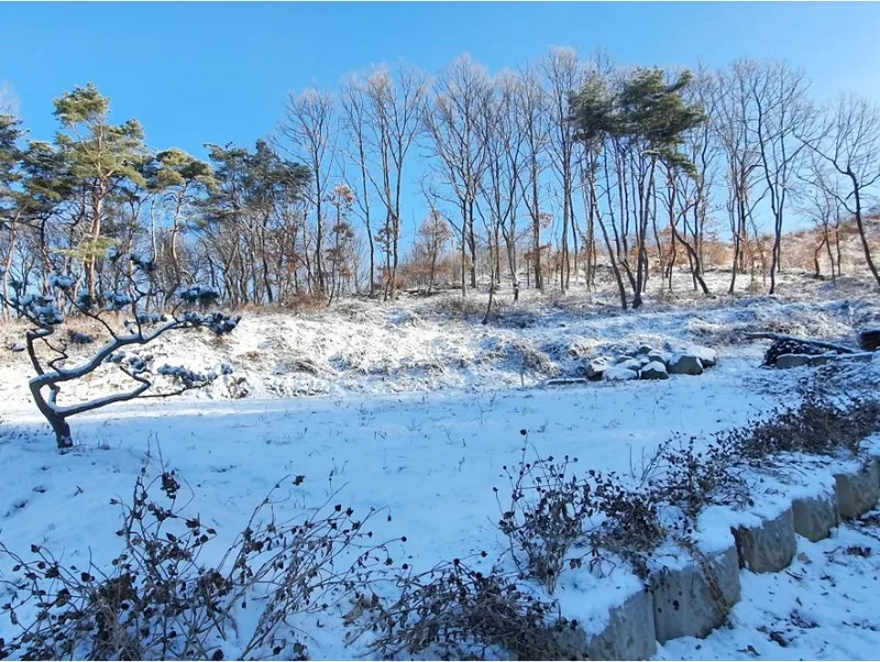 [Goesan] Healing Dokchae A with a private garden #Good value for money #Forest area 13