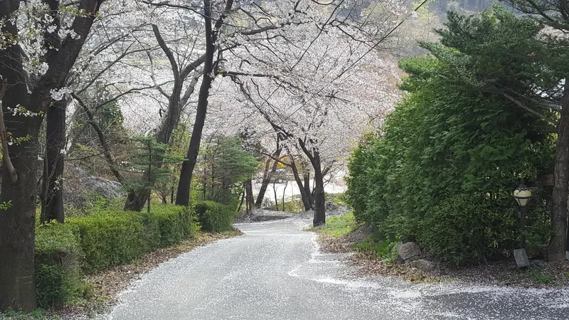 [Yeoju] Yeoju quiet forest villa, two-story country house with garden and great view 26