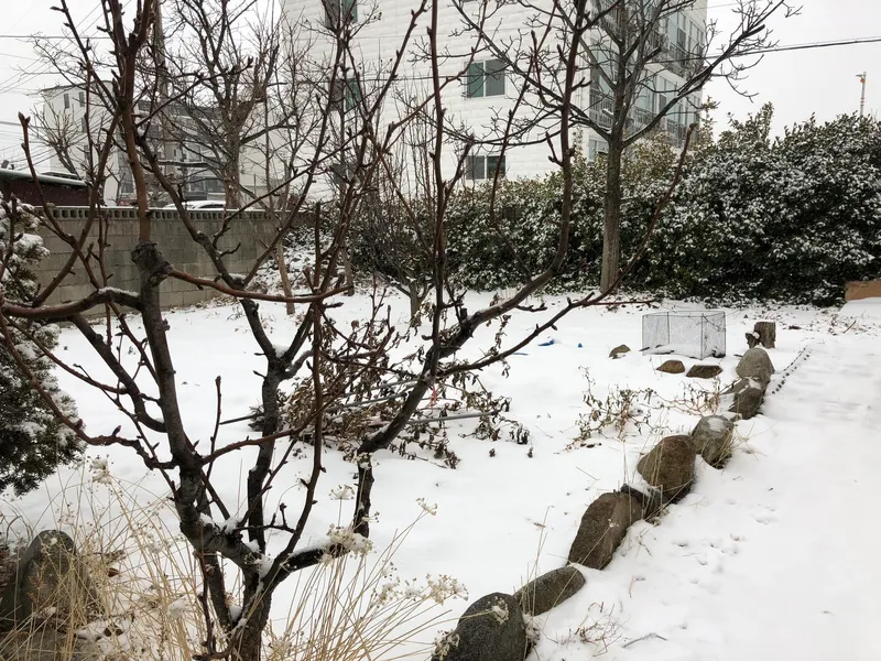 [Goseong] 3-minute walk from Cheonjin Beach # Detached house with garden and vegetable patch # Modern interior 19