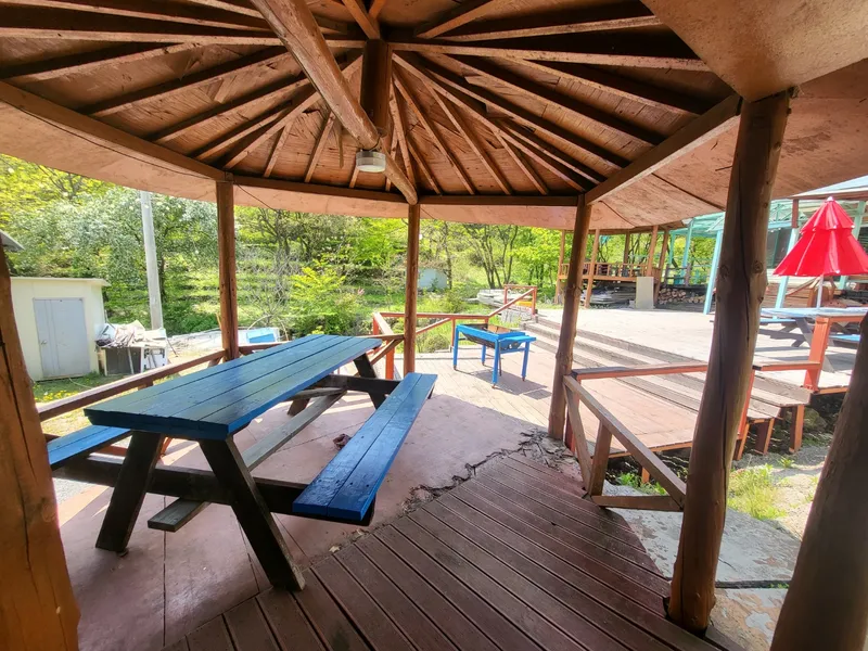 [Gapyeong] A 3-room group room in the heart of the city, nestled in a pine forest. #Pets allowed. #Shared laundry. 3