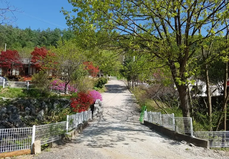 加平 松林深处,都市中央_单间 #3 #宠物 - main image