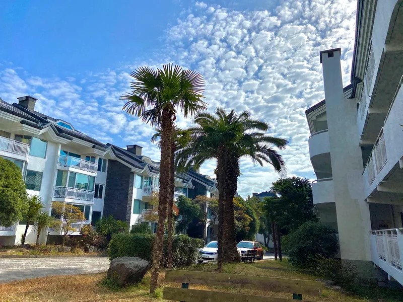 [Daepo-dong, Seogwipo][Seogwipo Jungmun] Modern and clean white full-option villa with palm tree sensibility #Family Jeju life 11