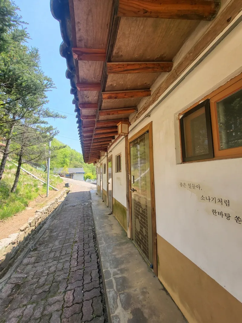 [경기 가평] 잣나무 숲속 도심속에 오지_원룸3호 #반려동물동반 6