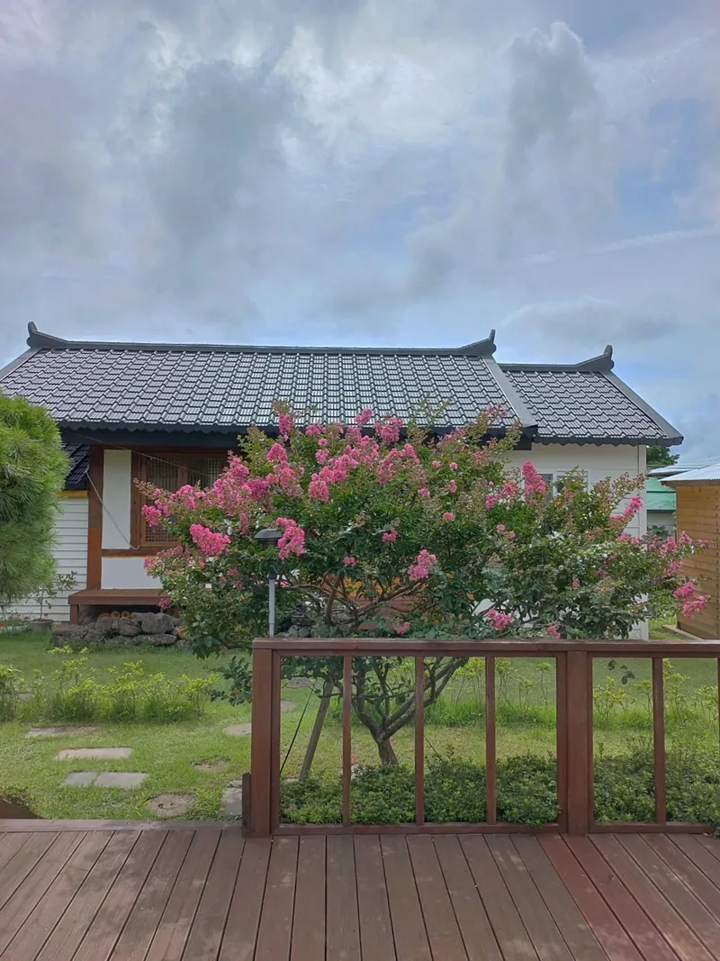 [Hangyeong, Jeju] A well-lit, emotional, and independent house near Panpo Port that also shares a hanok annex 37