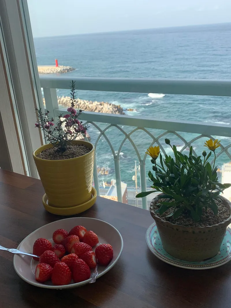 [Gangneung][Gangneung Jumunjin] Fully-furnished one-room apartment with East Sea view #9th floor ocean view #JK House 13
