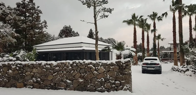 [Seongsan, Seogwipo] Two-room detached house with a large yard full of palm trees #BBQ 84