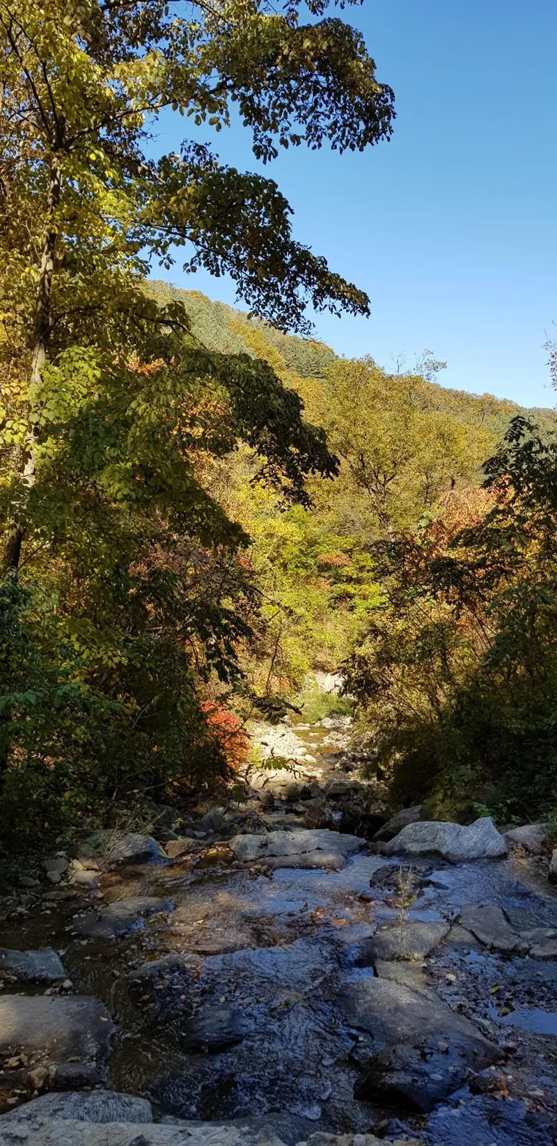 [Gapyeong] A 3-room group room in the heart of the city, nestled in a pine forest. #Pets allowed. #Shared laundry. 13