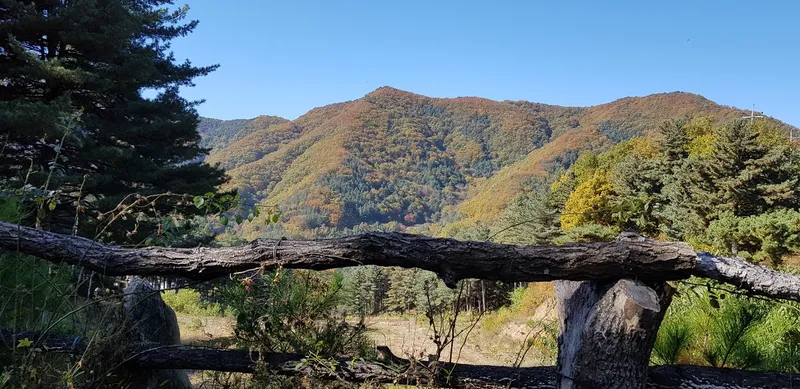 [Gapyeong] A 3-room group room in the heart of the city, nestled in a pine forest. #Pets allowed. #Shared laundry. 14