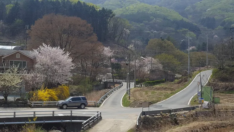 [Yeoju] Yeoju quiet forest villa, two-story country house with garden and great view 24
