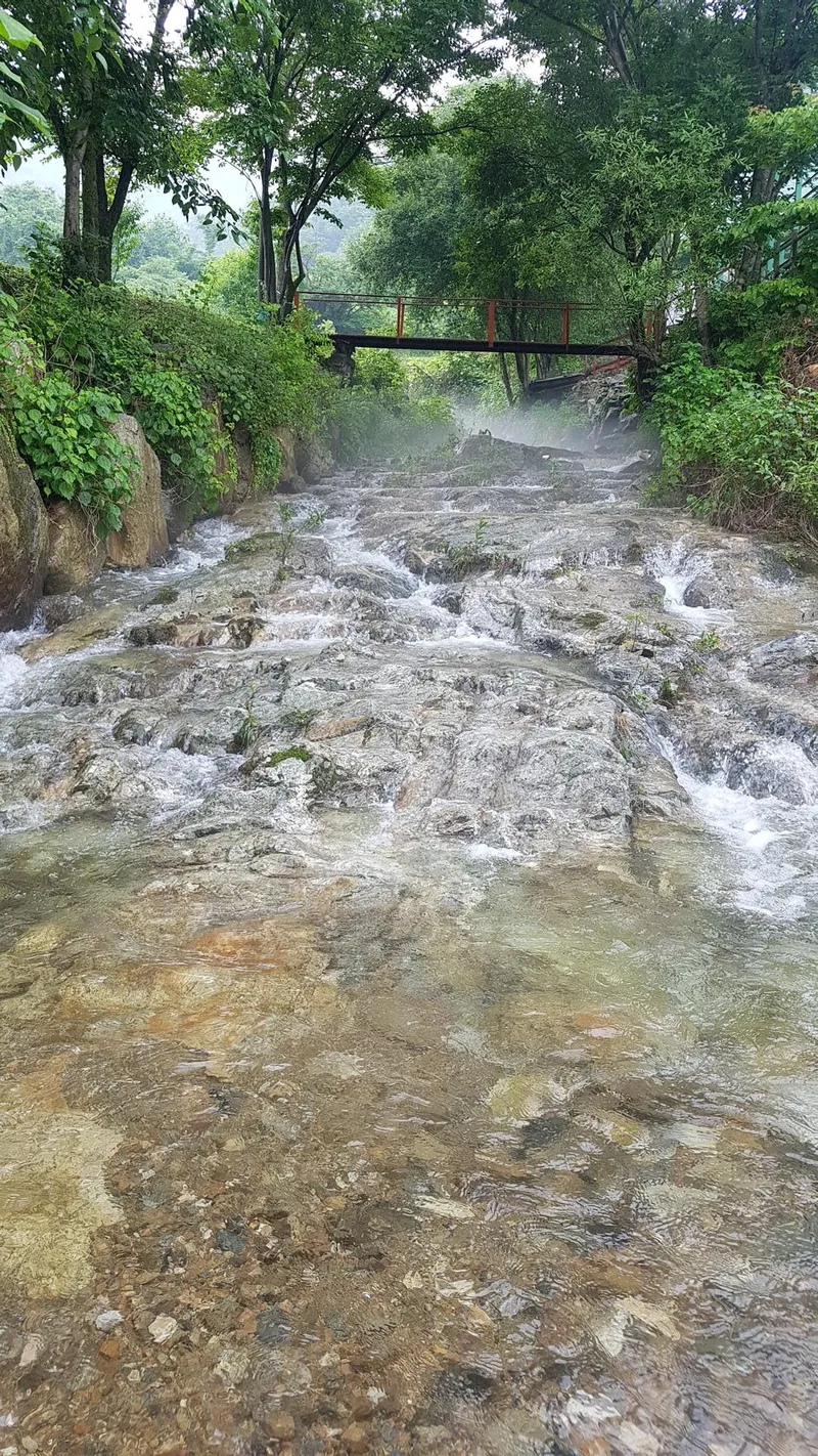 [Gapyeong] A 3-room group room in the heart of the city, nestled in a pine forest. #Pets allowed. #Shared laundry. 10