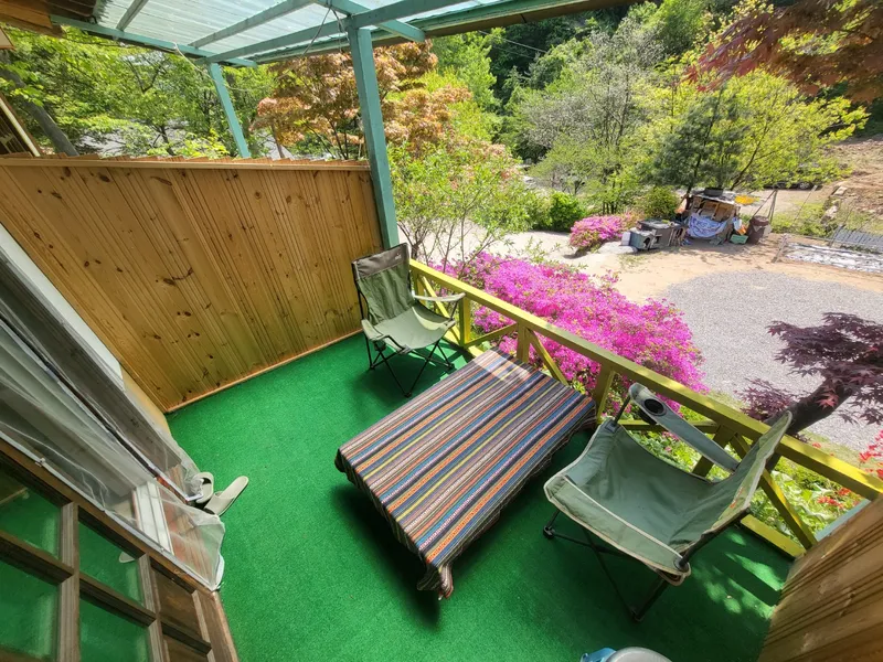 [Gapyeong] In the middle of the pine forest, in the middle of the city _One room #6 #Pets 14