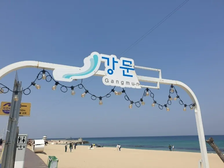 [강원 강릉][강릉 초당] 초당 맛집 도보투어가능 일출전망 아파트 10층 15