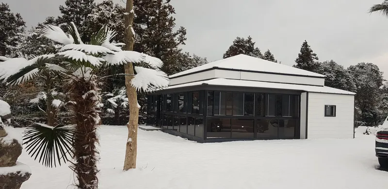 [Seongsan, Seogwipo] Two-room detached house with a large yard full of palm trees #BBQ 26