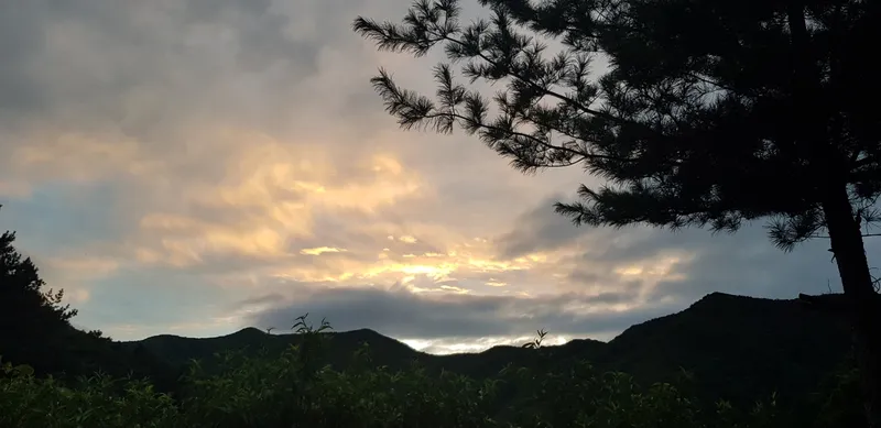 [경기 가평] 잣나무 숲속 도심속에 오지_원룸3호 #반려동물동반 26