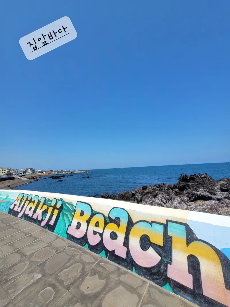 [제주 내도동] 몽돌해변앞쓰리룸2층독채#공항차로10분#가족펜션#환상옥상뷰 37