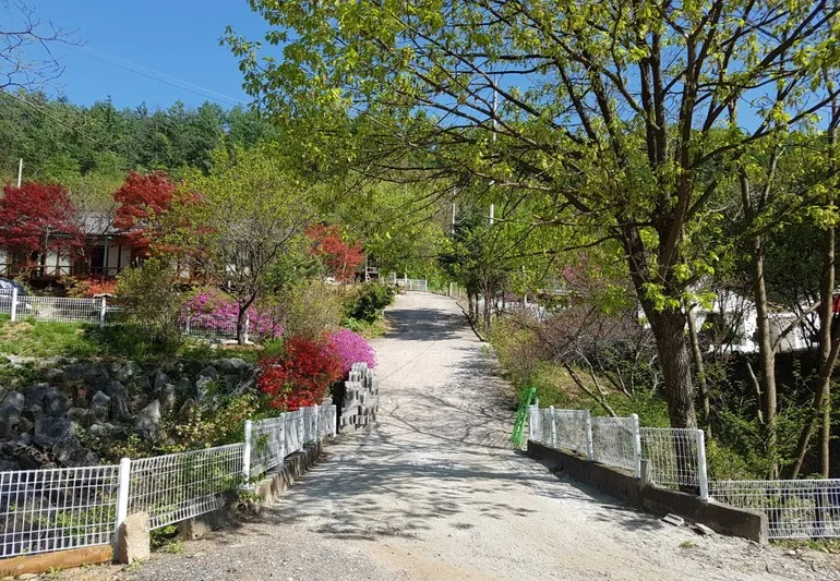 [Gapyeong] No. 4 in the pine forest, in the middle of the city #Pet #45 minutes from Jamsil #Public laundry 7