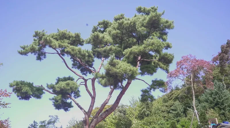 [Yeoju] Yeoju quiet forest villa, two-story country house with garden and great view 27