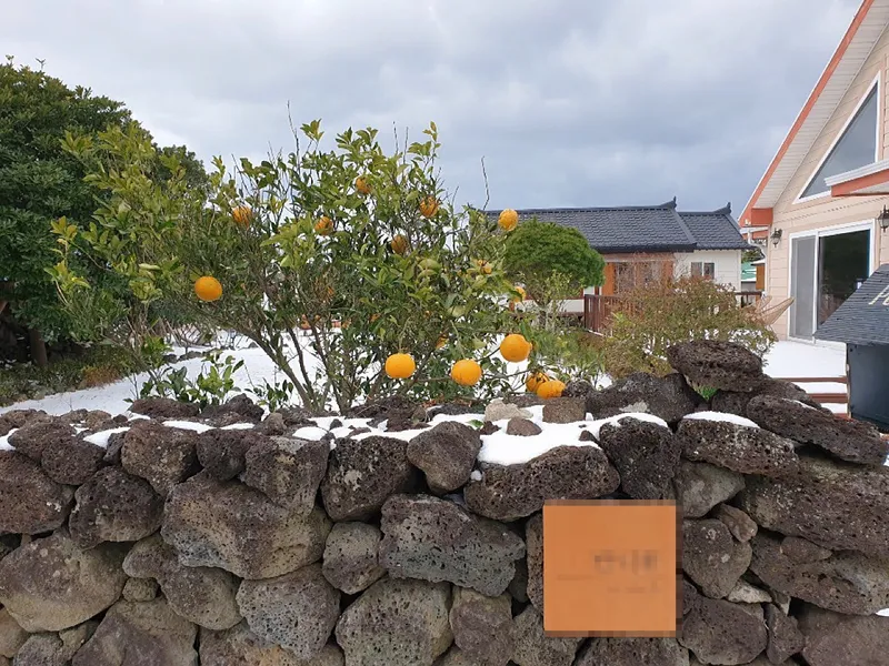 [Hangyeong, Jeju] A well-lit, emotional, and independent house near Panpo Port that also shares a hanok annex 18