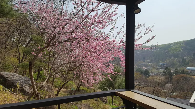 [Yeoju] Yeoju quiet forest villa, two-story country house with garden and great view 25