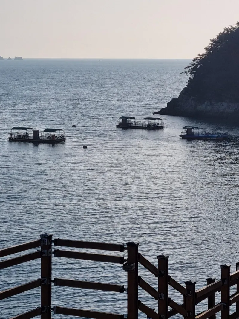 [Geoje] Okpo Port Newly Built Residence Hotel/1 Minute to Hanwha and Lotte Mart/Family Twin Room 905 70
