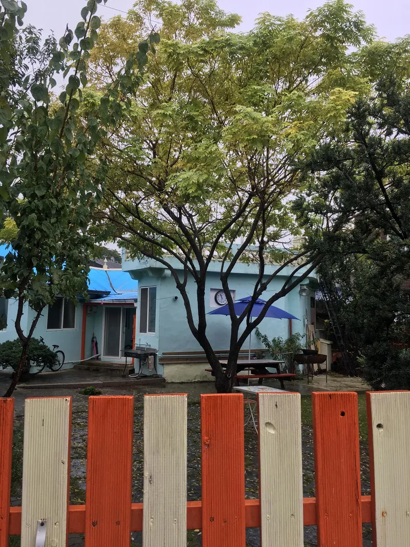 [Gangneung] Momo House, a detached house with a yard #PetsAllowed 11
