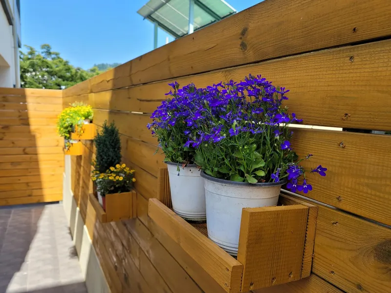 [Bomok-dong, Seogwipo] A small house on the first floor located in Bomok, a good place to live #Ttukbukki #Terrace 12