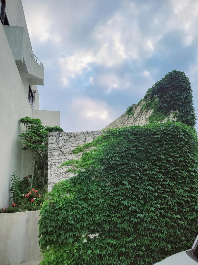 [Bomok-dong, Seogwipo] A small house on the first floor located in Bomok, a good place to live #Ttukbukki #Terrace 15
