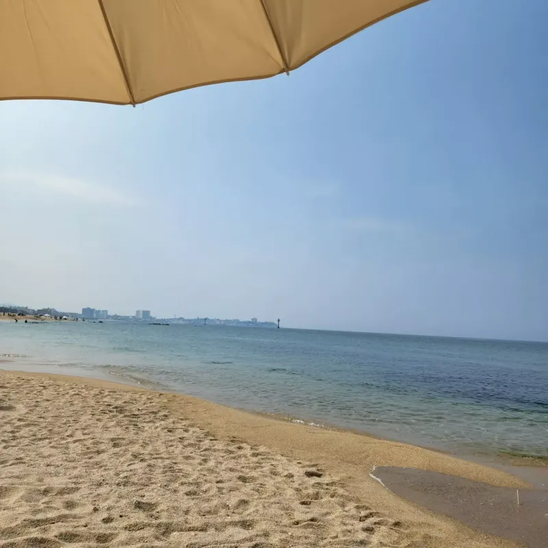 [Gangneung] #Pink Villa#2 min walk from Yeongjin Beach Pink emotional second house#Two-room villa 25