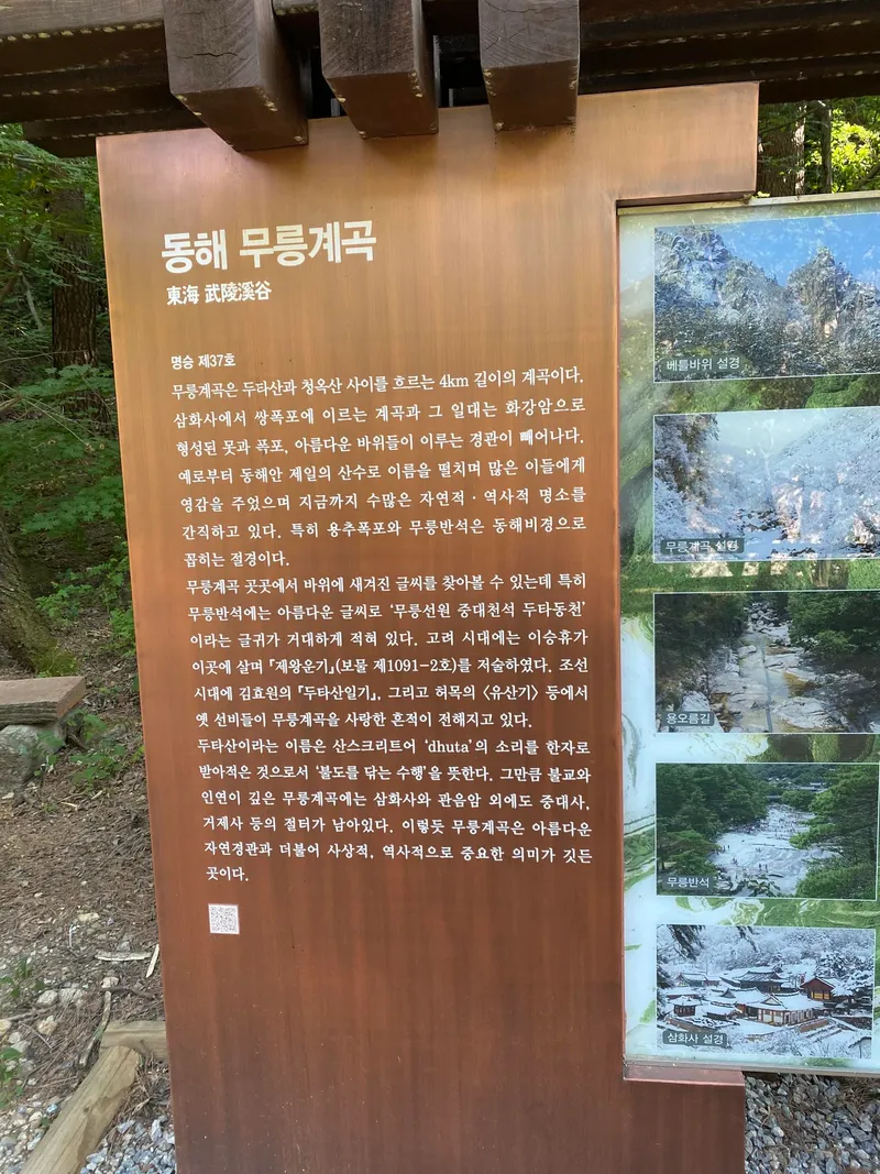 [강원 동해] 자연과 함께하는 깔끔한 풀옵션 투룸 아파트 #넷플릭스 52