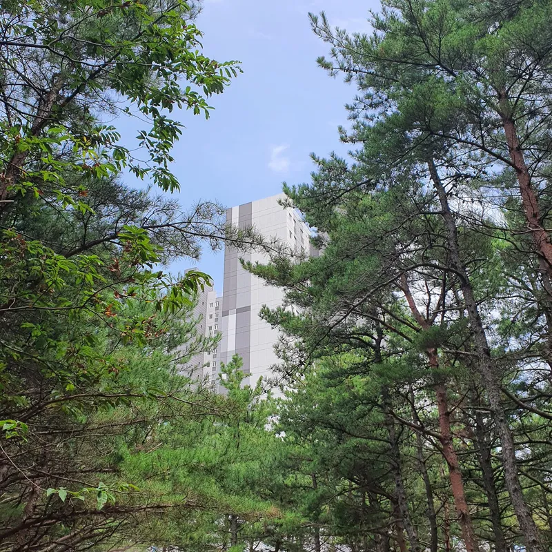 [강원 고성] 고성쉼하우스(고층/37평)방3,화장실2/오션뷰/호수뷰/마운틴뷰/숲세권 89