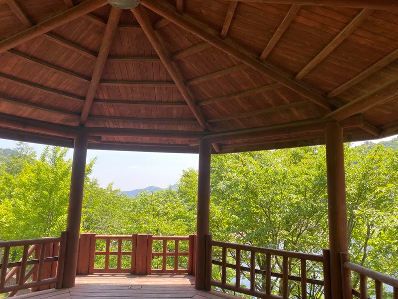 [강원 동해] 자연과 함께하는 깔끔한 풀옵션 투룸 아파트 #넷플릭스 64