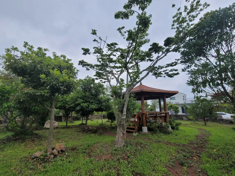 [Gujwa, Jeju] #Beautiful 2-story detached house with stone wall and lawn garden (Hydrangea) 38
