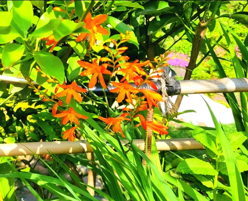 [제주 애월] 독채 정원 바다뷰테라스 24