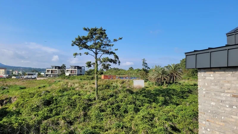 [제주 애월] 해안 절경 오션뷰 한라산 뷰 층고 높고 넓은 옥상뷰 복층 75