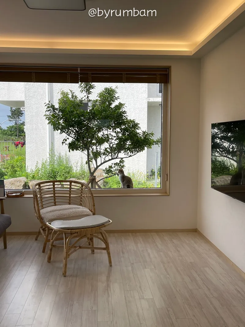 [Hallim, Jeju][Hanlim Ani House*Sunset*] A two-story detached house with a beautiful sunset overlooking Geumosan 19