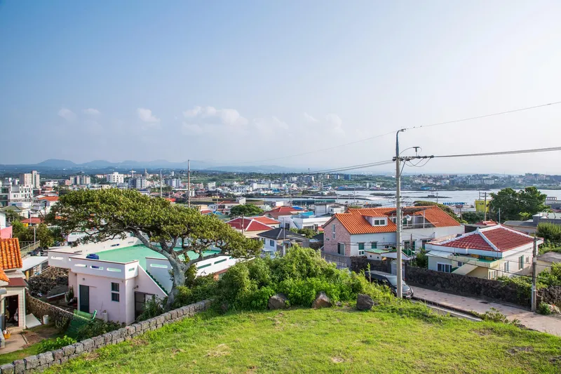 [Jocheon, Jeju] Neat, newly built detached two-room house with a yard_Lower unit #JejuStoneWall 45