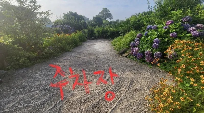 [서귀포 성산] 전망 좋은500평 마당,돌담,#애견동반가능,투룸독채.시골살이 51