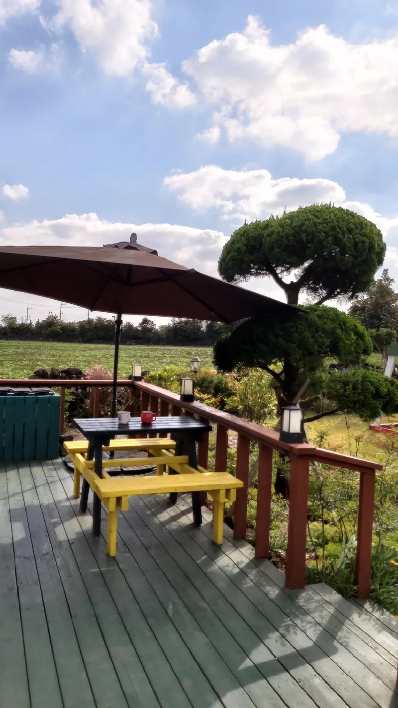 [Gujwa, Jeju] European-style accommodation, pet-friendly one-room duplex Blue Jeju #Large dogs allowed 5