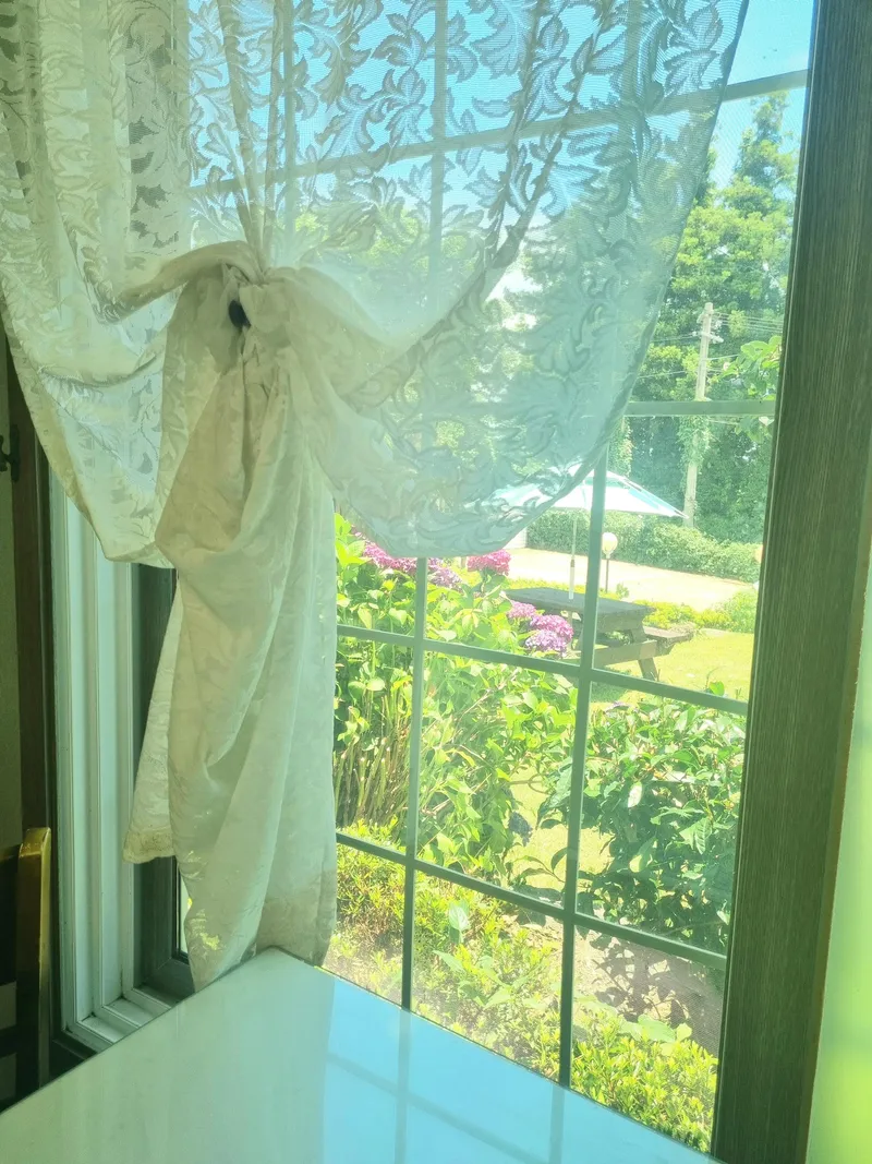 [Andeok, Seogwipo] Jungmun Tourist Complex, a small and practical 2-room detached house with a yard [20 pyeong-B] 35