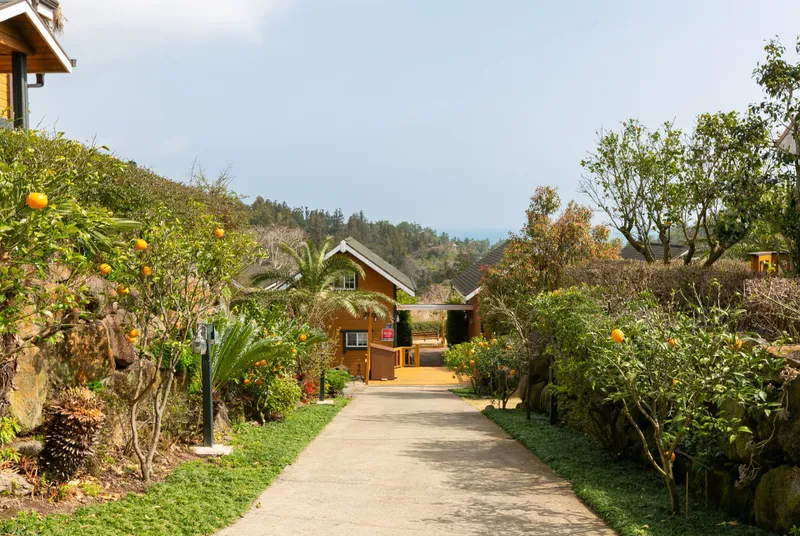[Andeok, Seogwipo] Ocean View Cypress Wood Duplex Wooden Pension 18 Pyeong B #Utilities Included 16