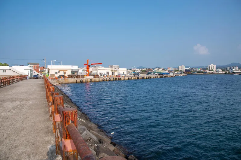 [Jocheon, Jeju] Neat, newly built detached two-room house with a yard_Lower unit #JejuStoneWall 47