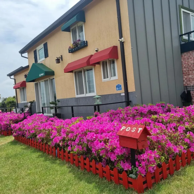 [Gujwa, Jeju] European-style accommodation, pet-friendly one-room duplex Blue Jeju #Large dogs allowed 2