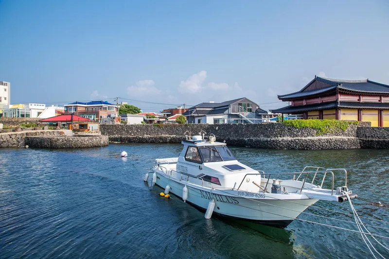 [Jocheon, Jeju] Neat, newly built detached two-room house with a yard_Lower unit #JejuStoneWall 46