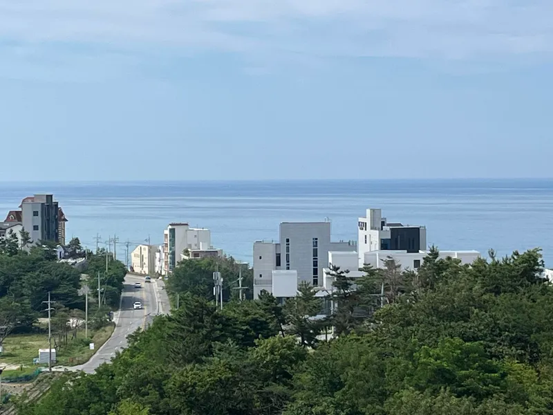 [Gangneung] Ocean view from the penthouse terrace/5 min walk from Sacheonjin Beach/Comfy Gangneung 1 38